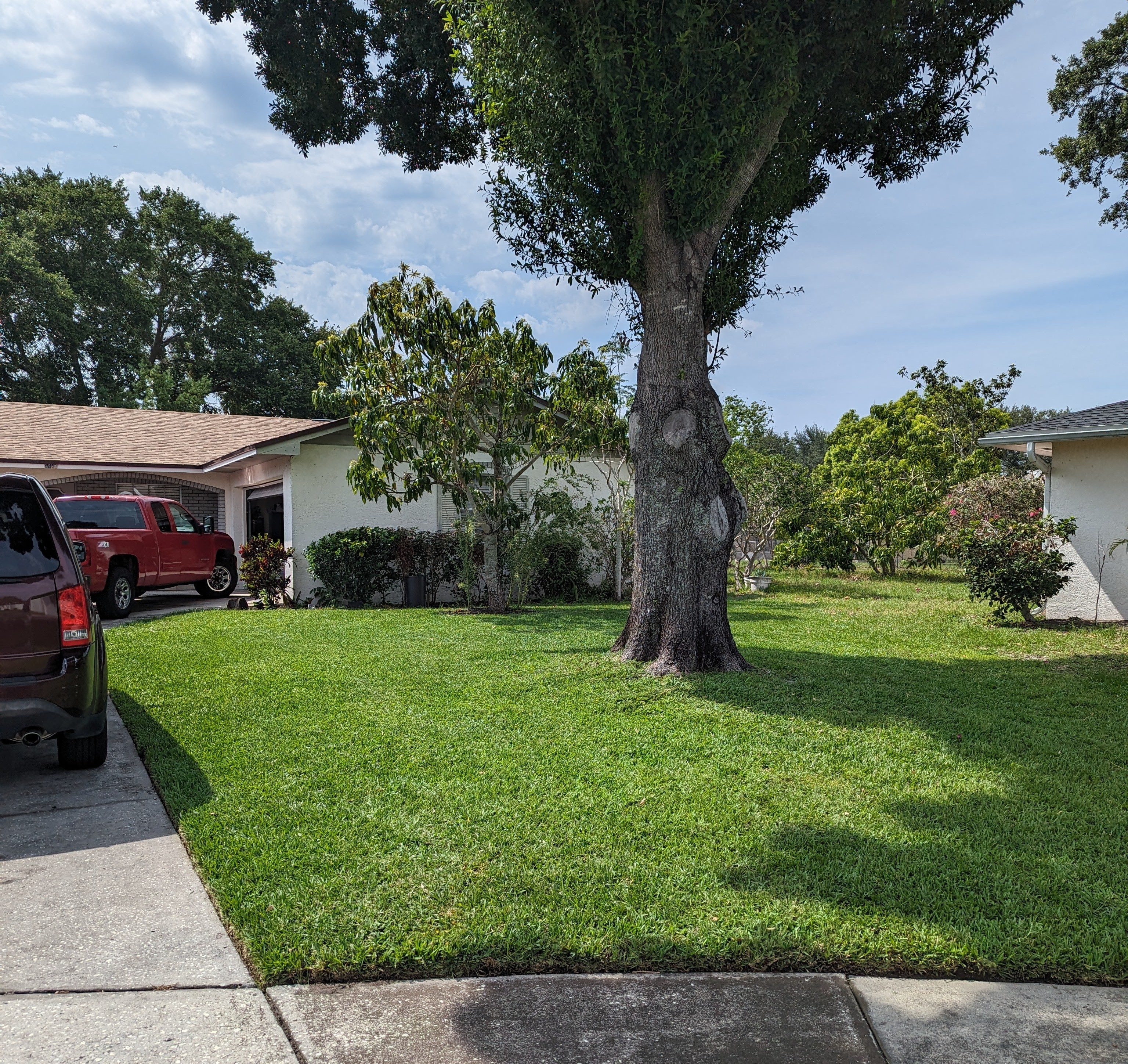 Image of an early 90s one-story Florida home with a Florida native Oaktree and an irrigated St. Augustine lawn.